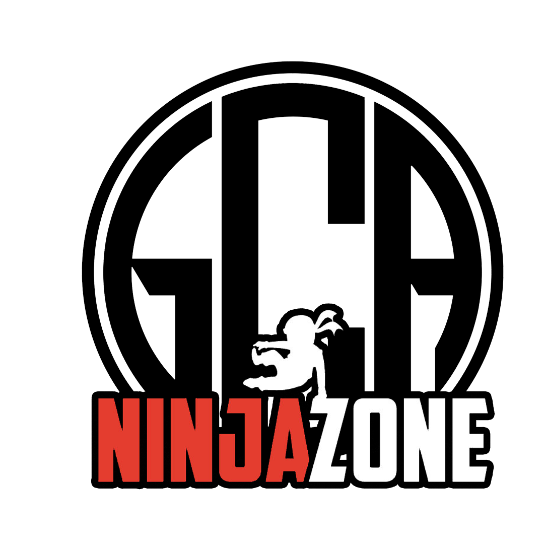 Ninja logo 2