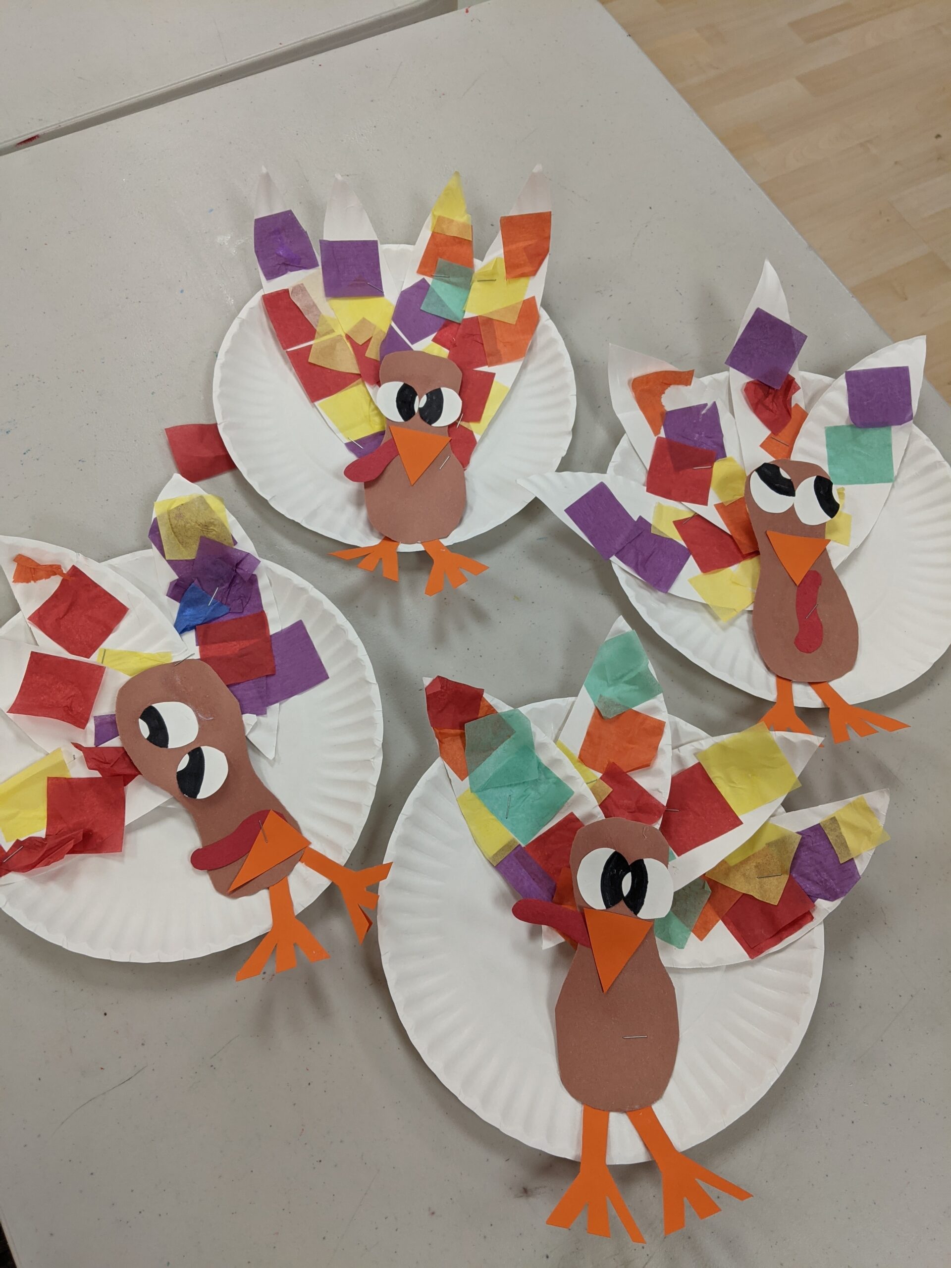 Mind and Motion Photos-Videos (19)