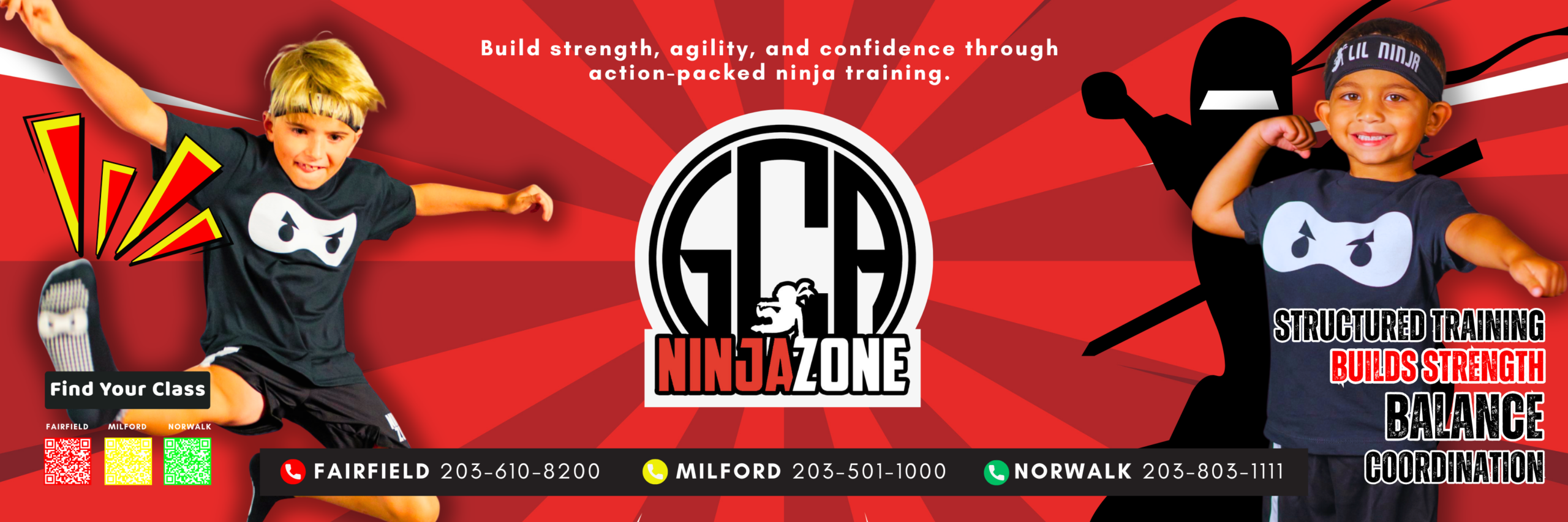 Ninjazone Banner