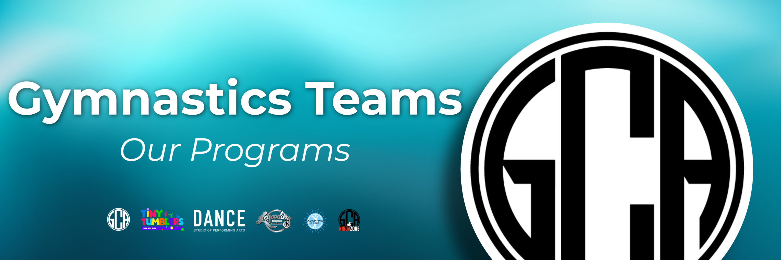 Gymnastics Team BANNER (1)